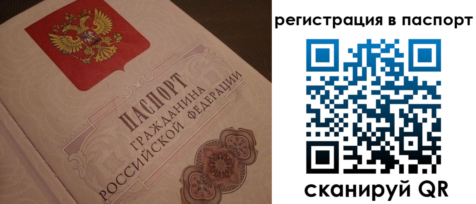 временная регистрация надежно в Сельцо